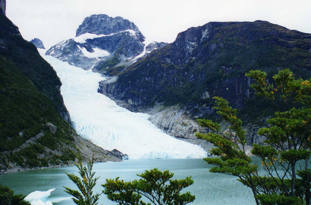 Un frondoso sendero forestal conduce al mirador del glaciar Serrano.