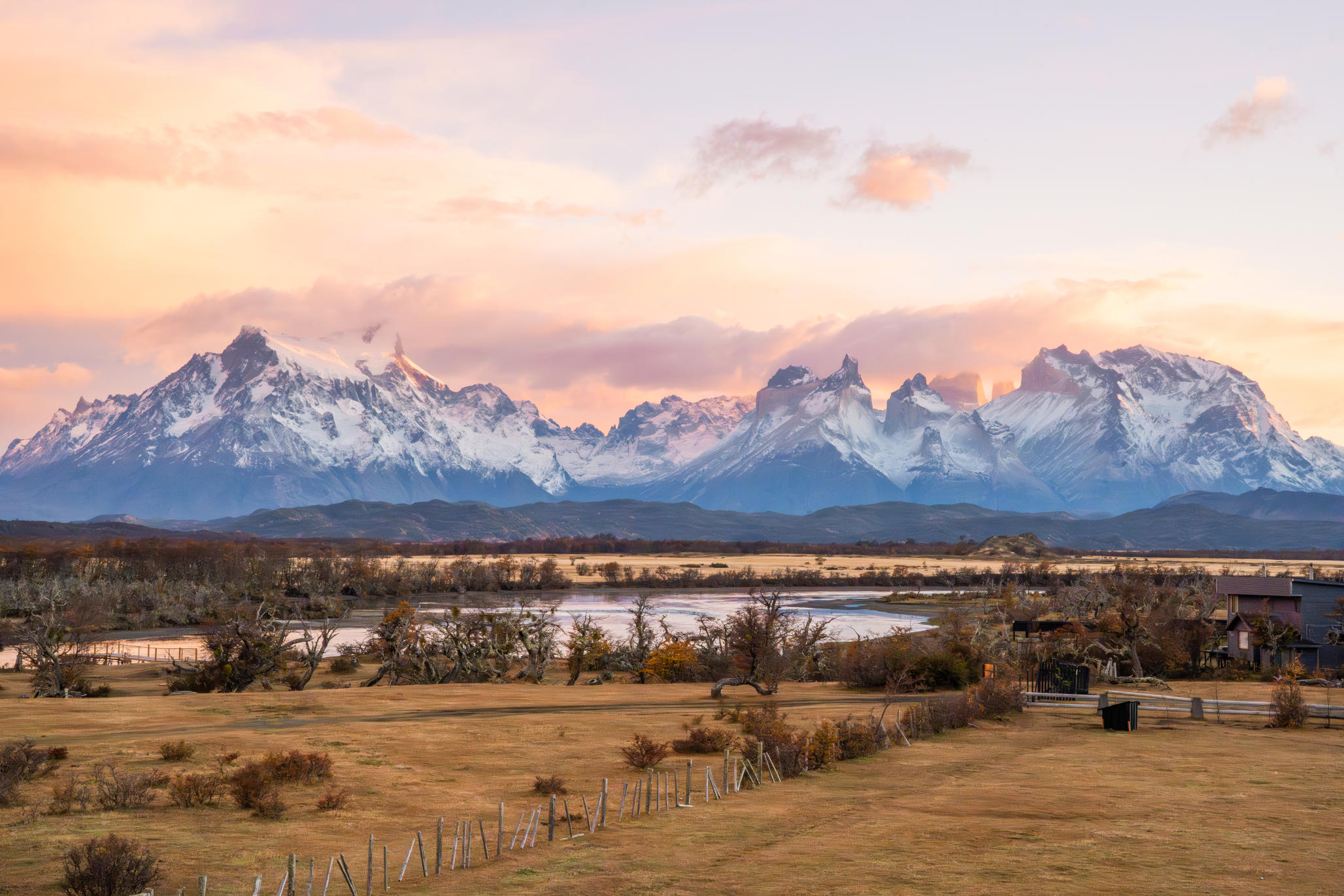 A close-up of a native guanaco grazing near the entrance of the hotel.