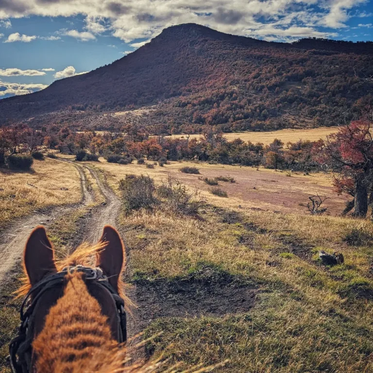 Cabalgata de Medio Día en Patagonia