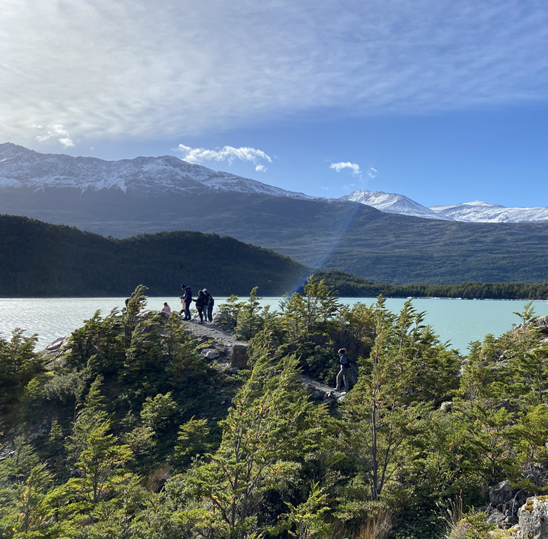 Serrano Glacier Lookout Trail: One Kilometre of Forest to the Ice