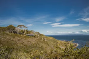 El sendero costero que conduce hacia el Mirador Sarmiento en el Parque del Estrecho.