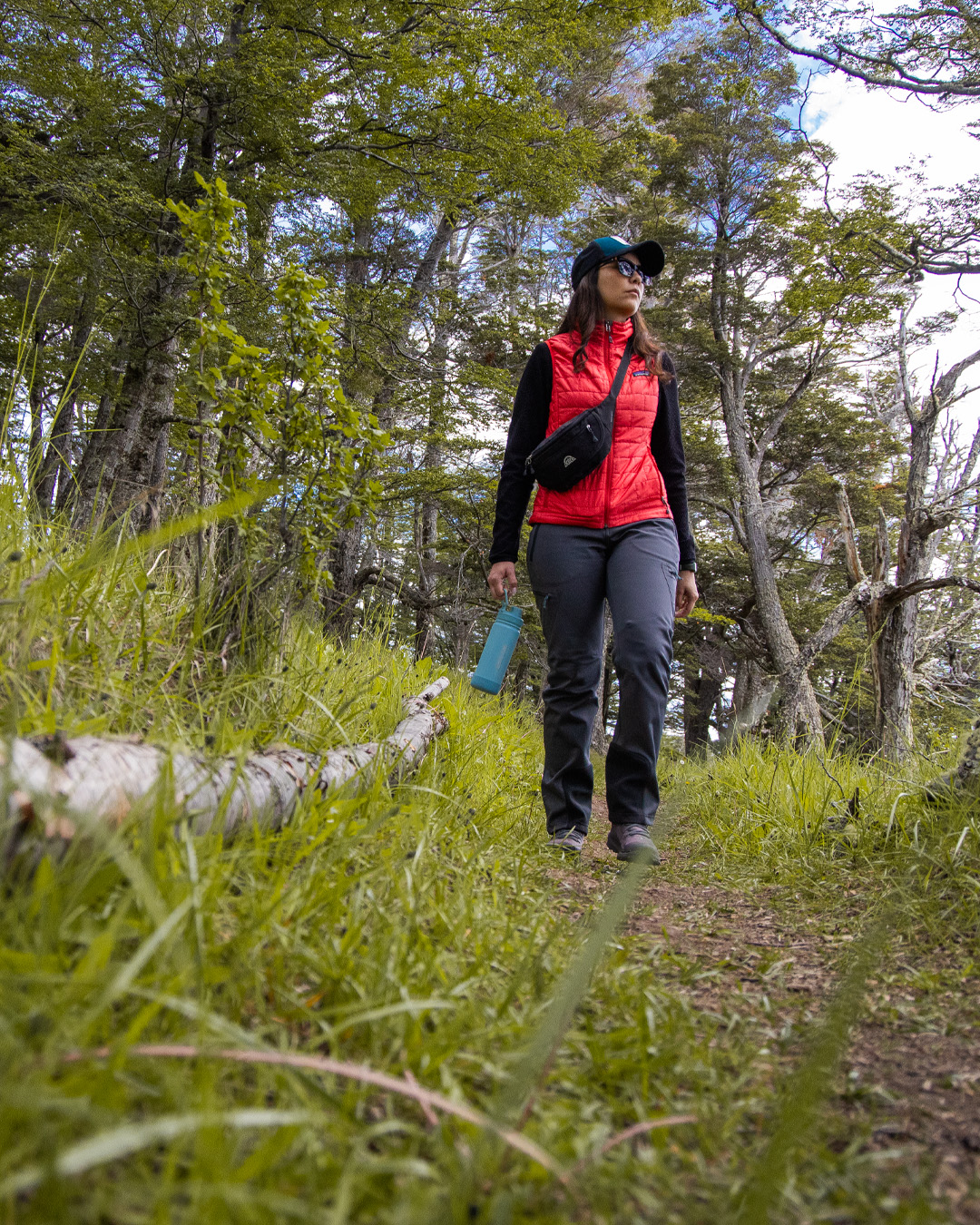 Un sendero forestal de un verde exuberante en la sección Bosque de los Carpinteros del parque.