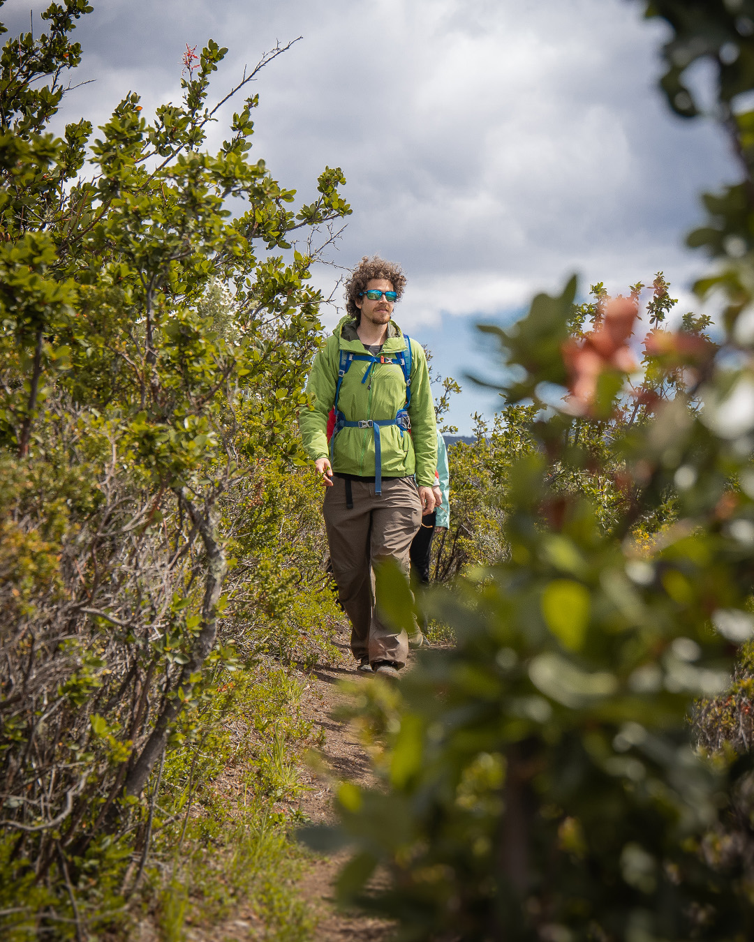 Árboles centenarios cubiertos de musgo y líquenes a lo largo del sendero Bosque de los Carpinteros.