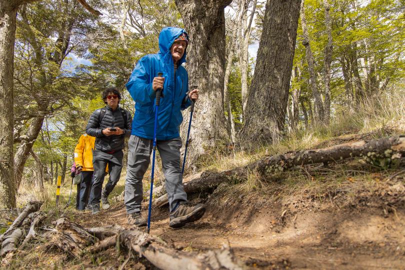 Un tramo tranquilo y sombreado del sendero forestal en el Parque del Estrecho.