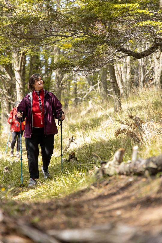 Señalización informativa a lo largo del sendero que describe la flora y la fauna locales.