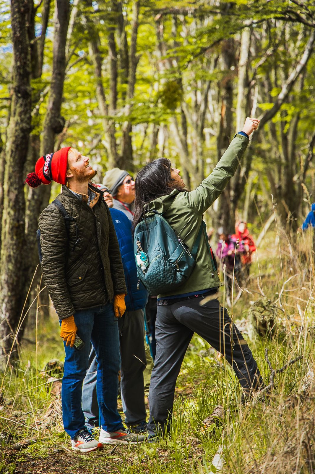 En el corazón del parque, imponentes árboles autóctonos se elevan hacia el cielo.