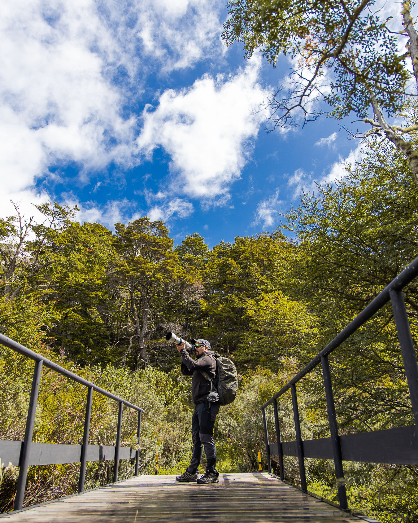 Una vista panorámica del bosque dentro del Parque del Estrecho de Magallanes.