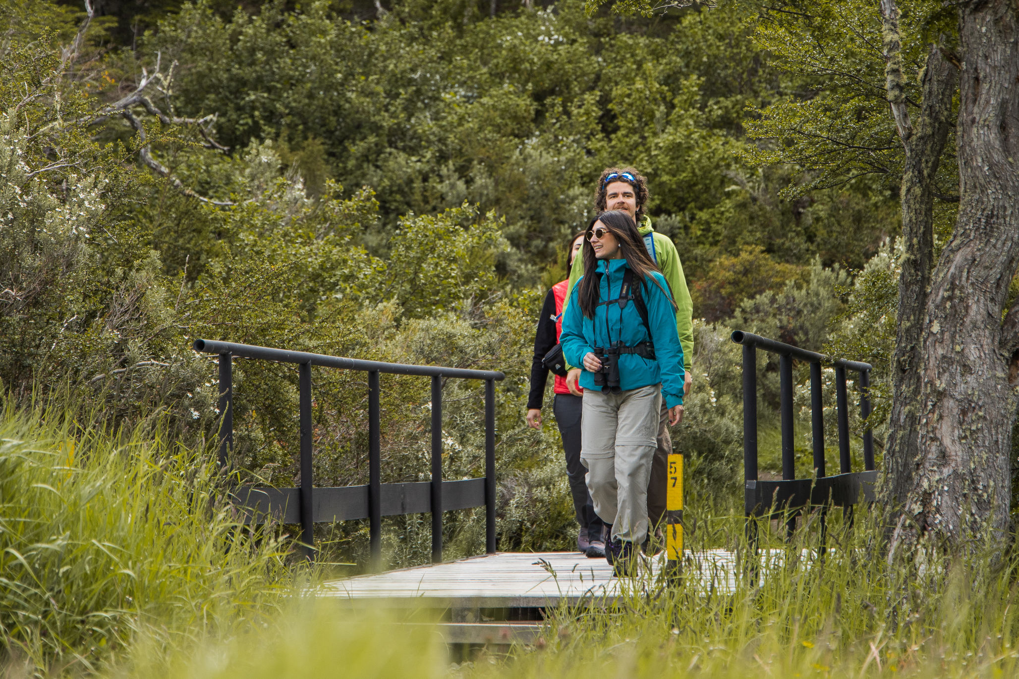 Helechos de un verde vibrante y sotobosque en el suelo del Parque del Estrecho.