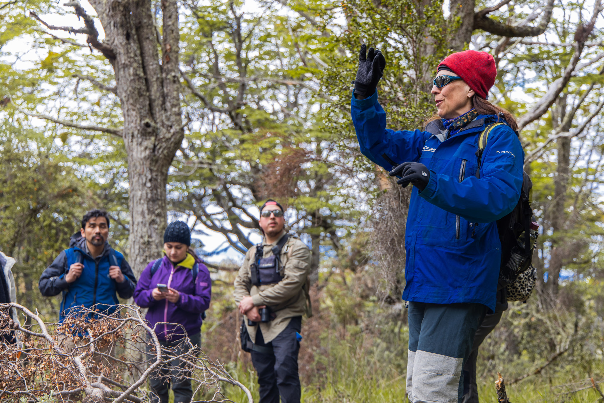 Los rayos del sol se filtran a través de la densa vegetación del bosque nativo en el Parque del Estrecho.