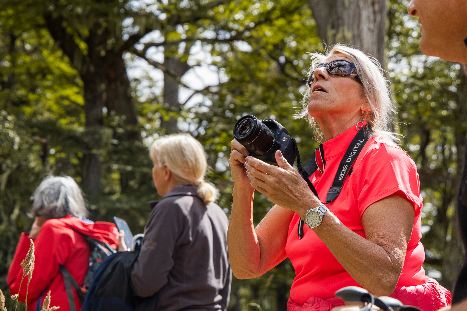 Vista desde la perspectiva de un excursionista del sendero boscoso que se adentra en el Bosque de los Carpinteros.
