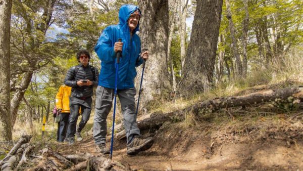 Coigüe Forest Trail