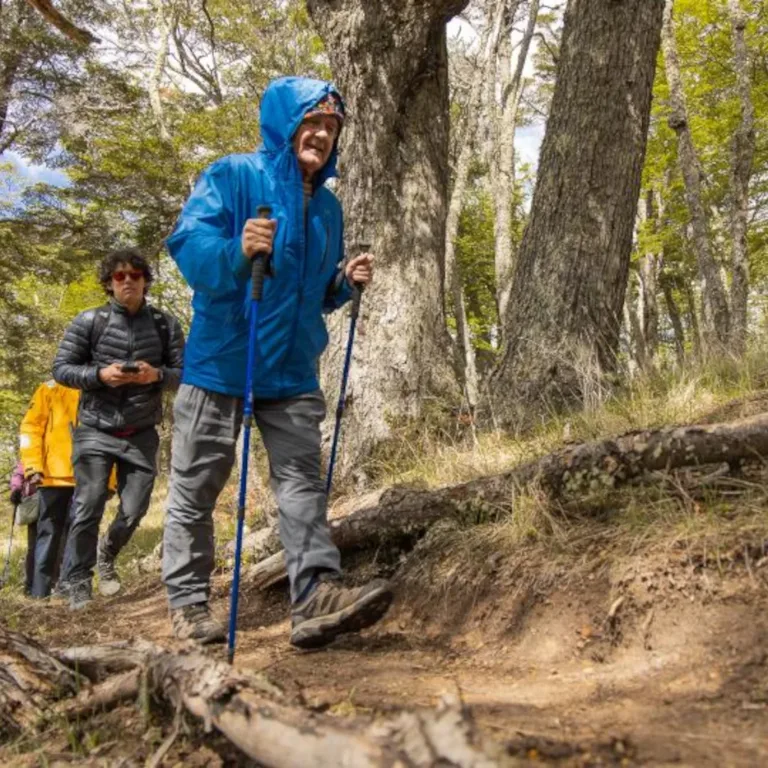 Coigüe Forest Trail